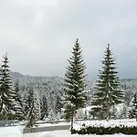 Forest 4* Pale