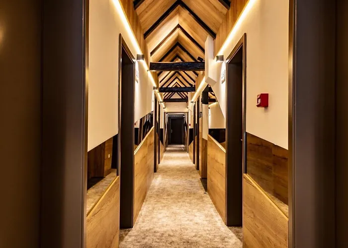 Szálloda Forest Pale